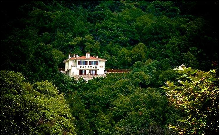 Hotel Rastoni Pelion Vizítsa Exterior foto